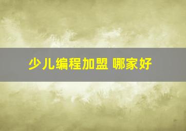 少儿编程加盟 哪家好